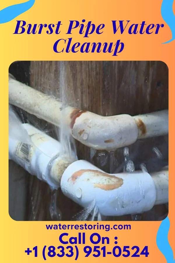 Burst Pipe Water Cleanup in Niles, IL