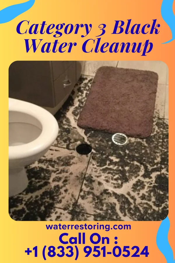Category 3 Black Water Cleanup in Niles, IL