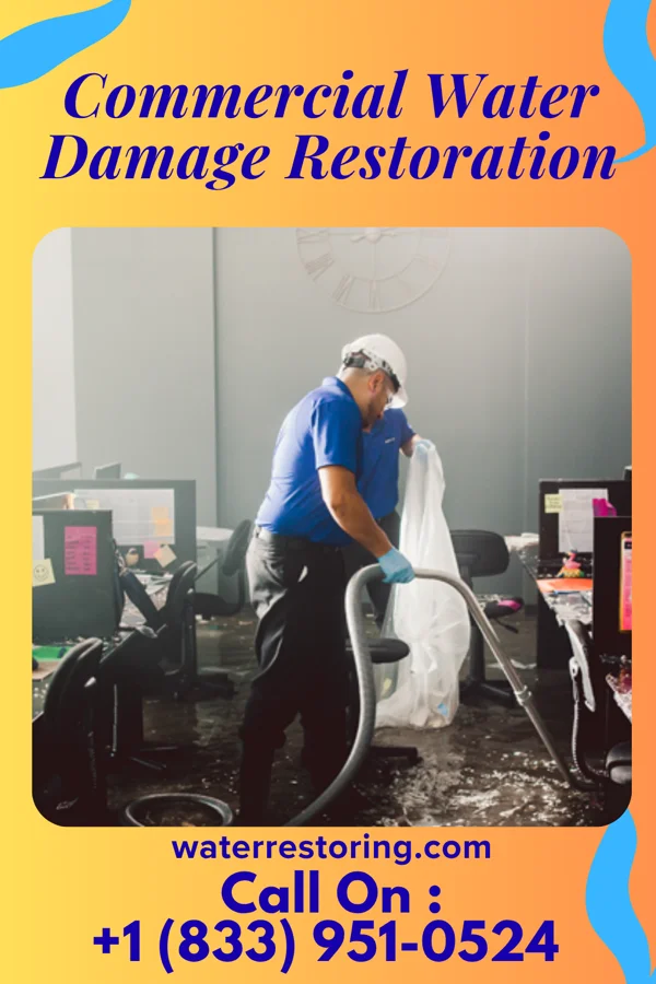 Commercial Water Damage Restoration in Niles, IL