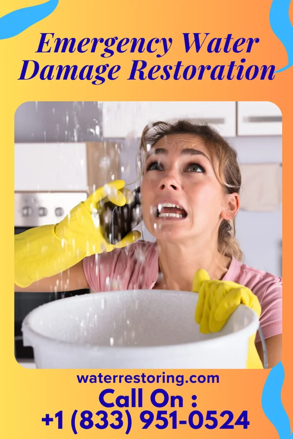 Emergency Water Damage Restoration in Niles, IL